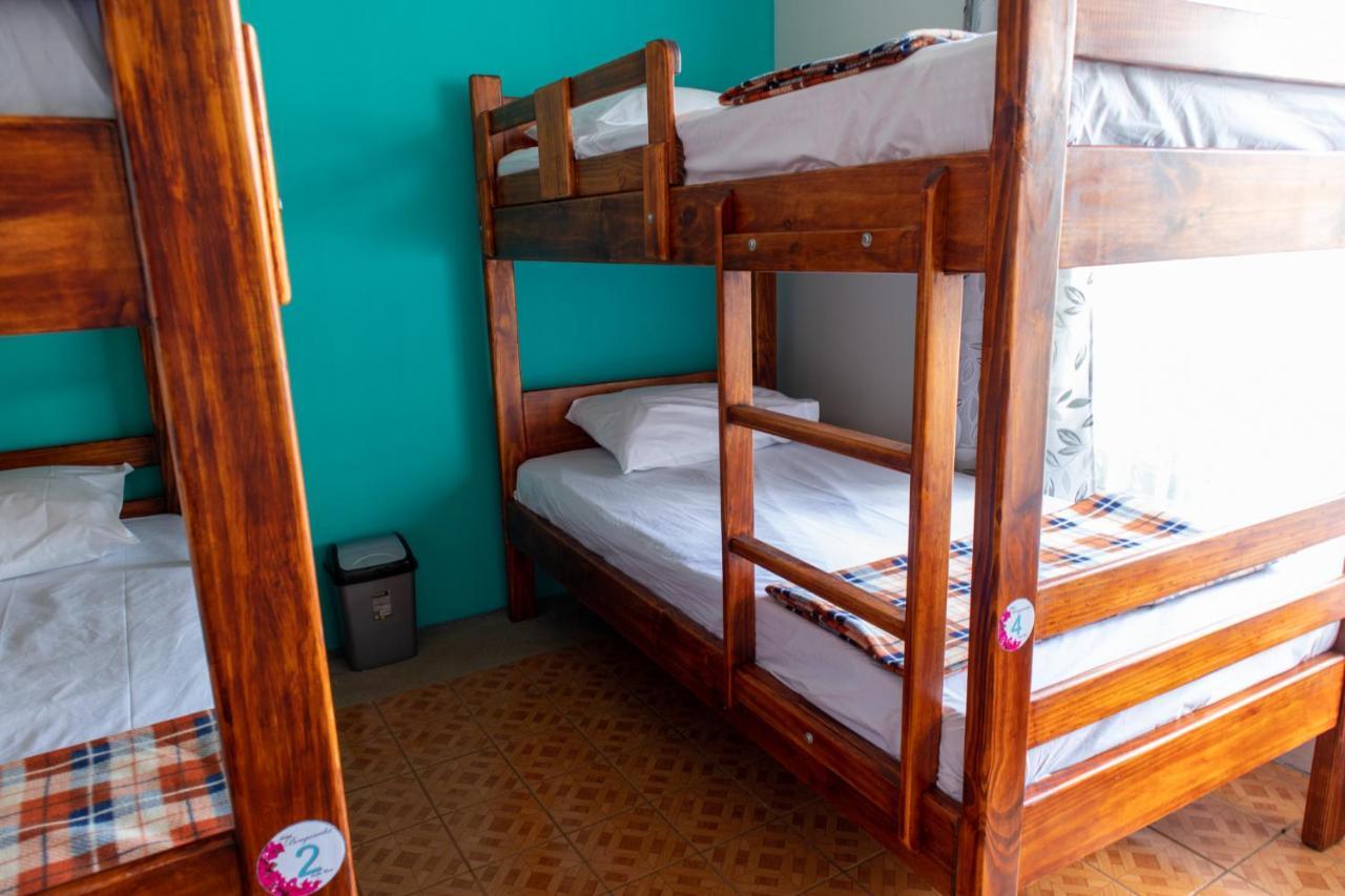 Hostel Bouganvilia Bed And Breakfast San Ramón Kültér fotó