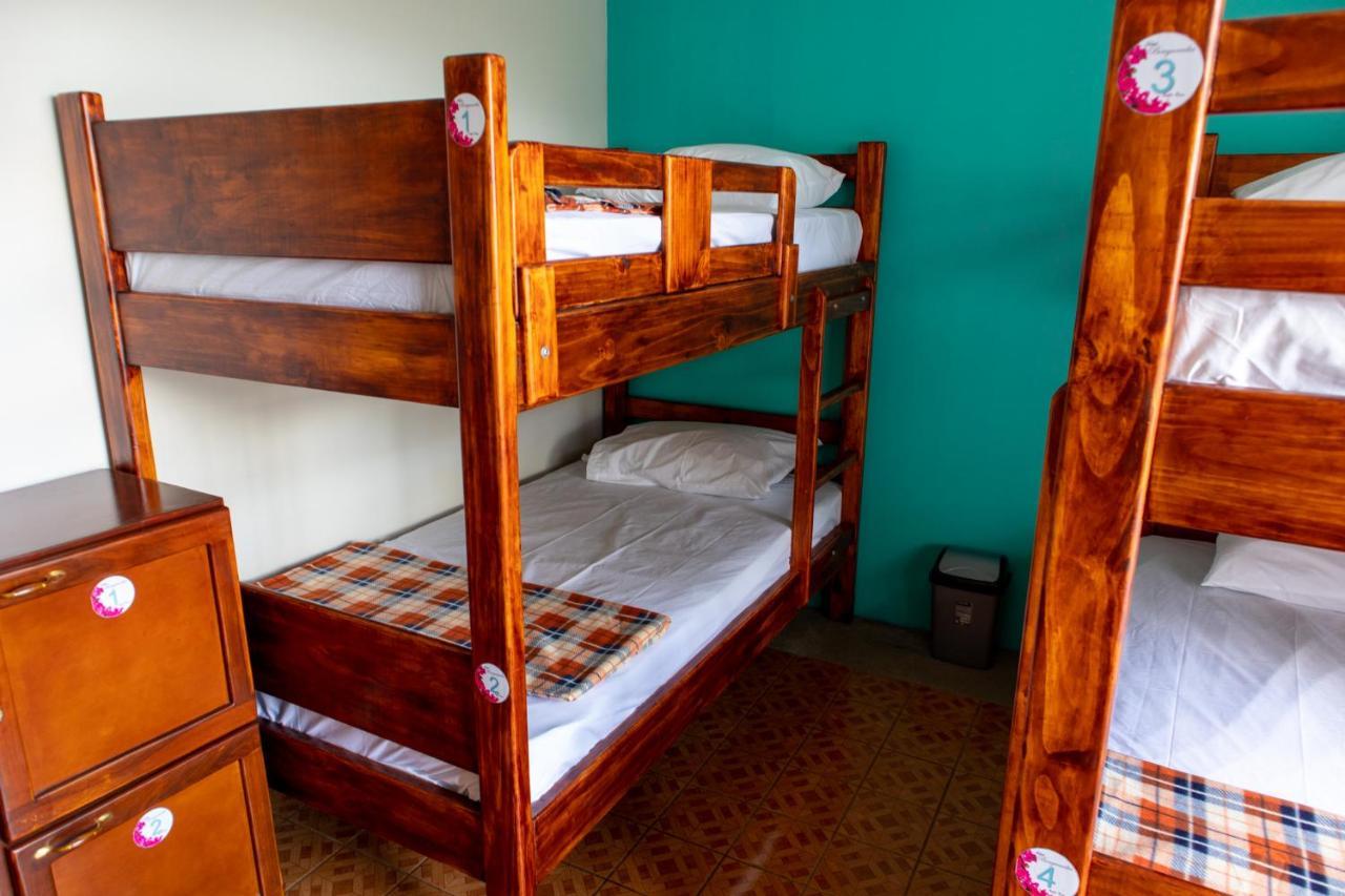 Hostel Bouganvilia Bed And Breakfast San Ramón Kültér fotó